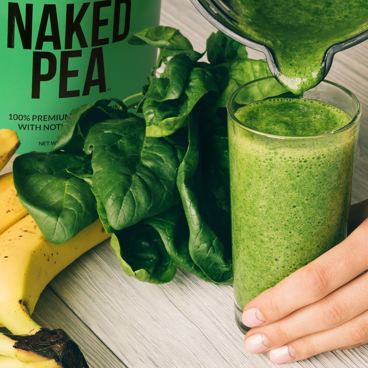 Vegan Protein Powder Sample Pack with a Straightforward Protein Formula