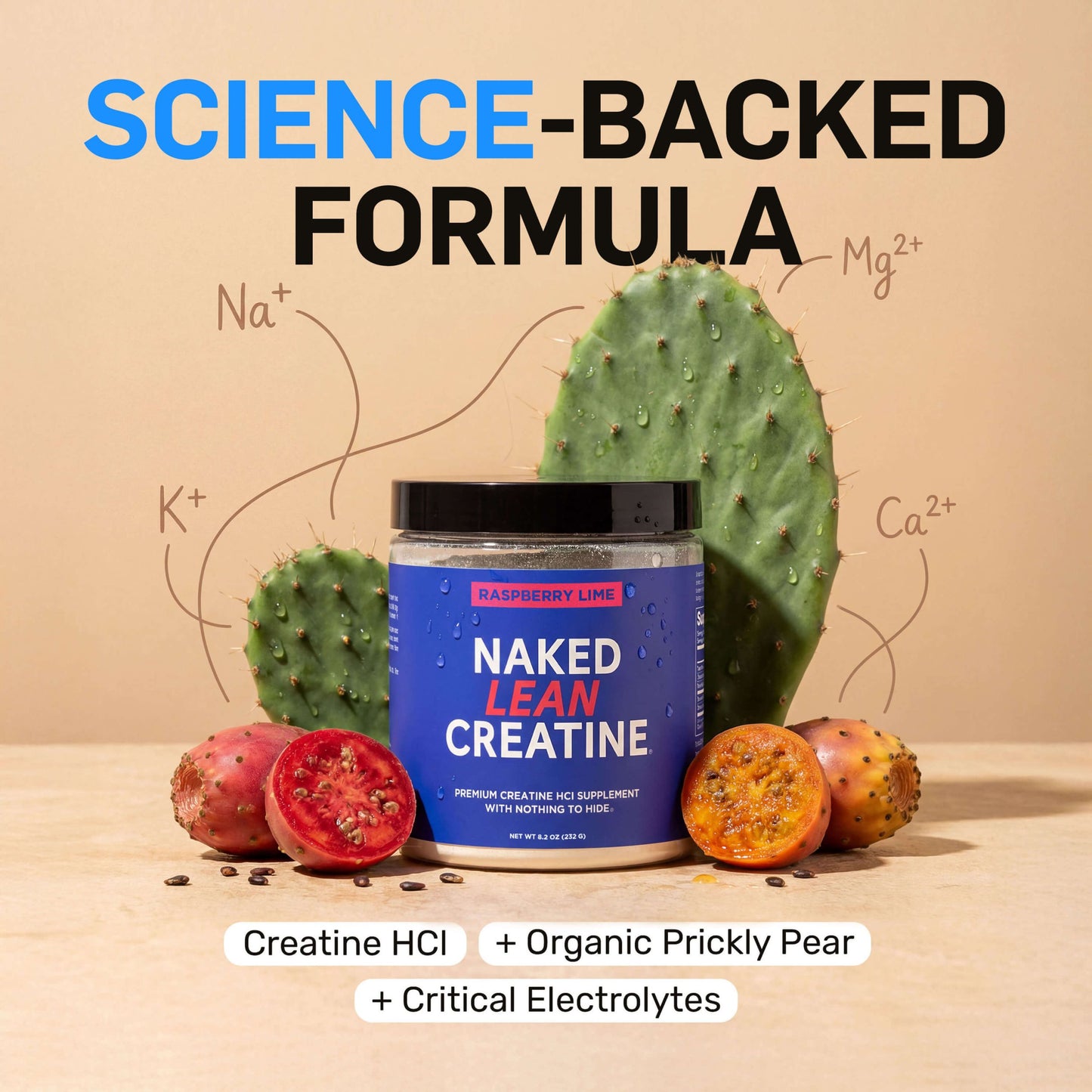 Raspberry Lime Creatine HCl Powder - Raspberry Lime for Flexible Active-Nutrition Use