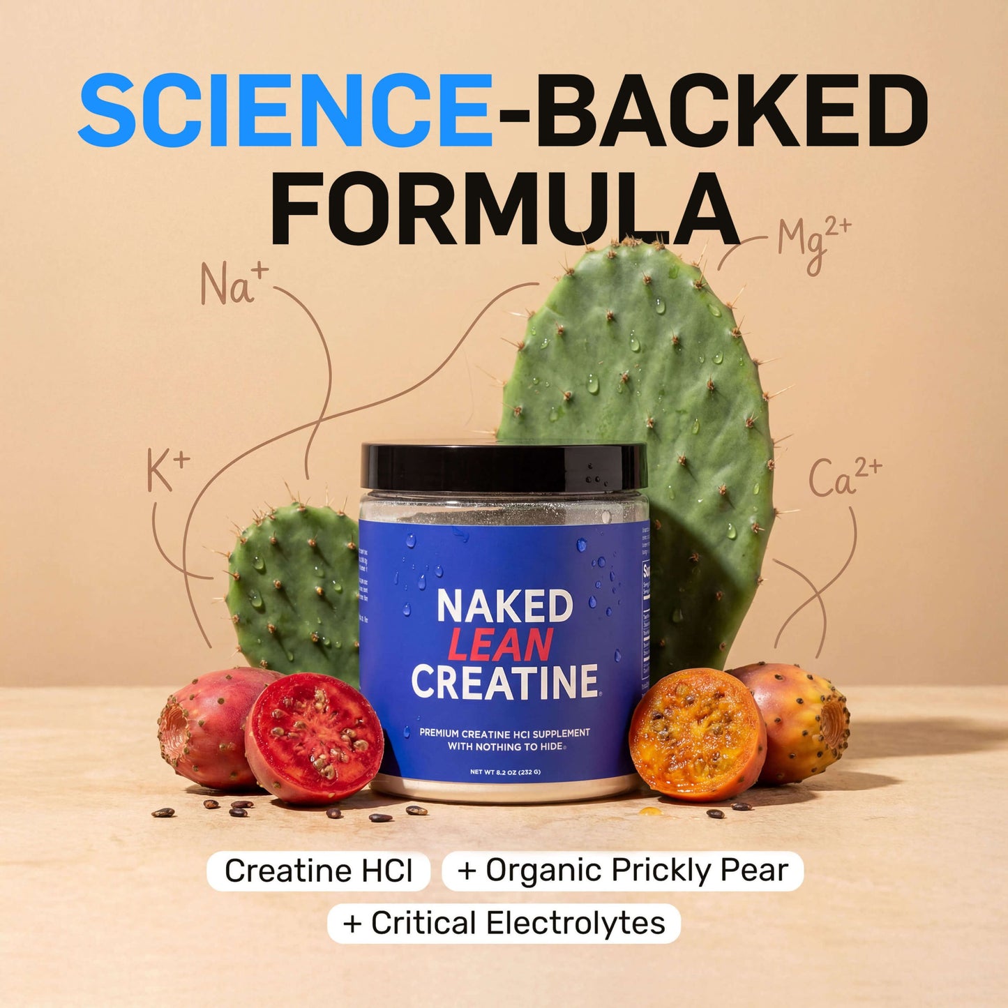 Creatine HCl Powder - Unflavored for Flexible Active-Nutrition Use