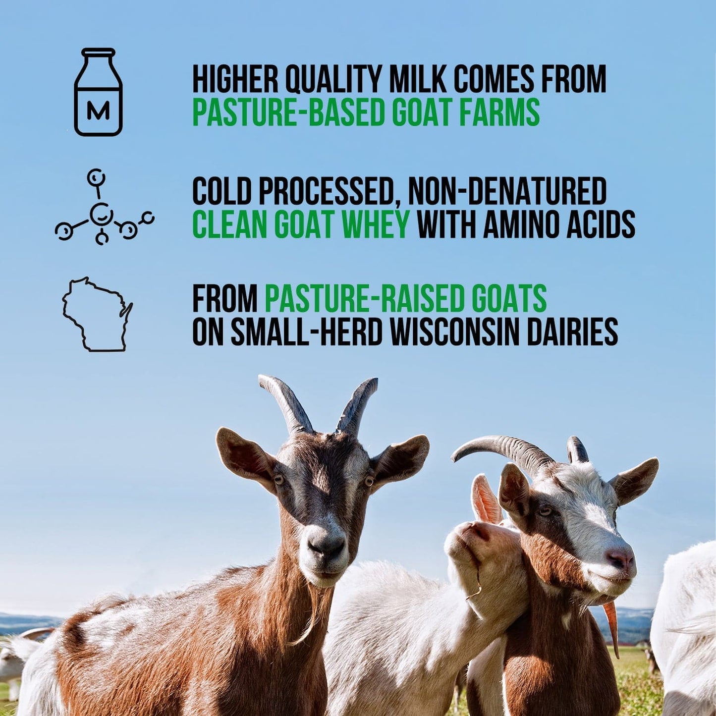 Chocolate Goat Whey Protein Powder - Chocolate with a Straightforward Protein Formula