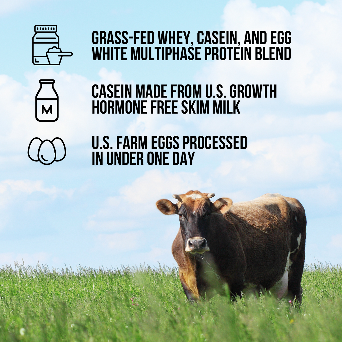 Protein Powder Blend - 3LB Egg Whey & Casein Protein Blend - 3LB with a Straightforward Protein Formula