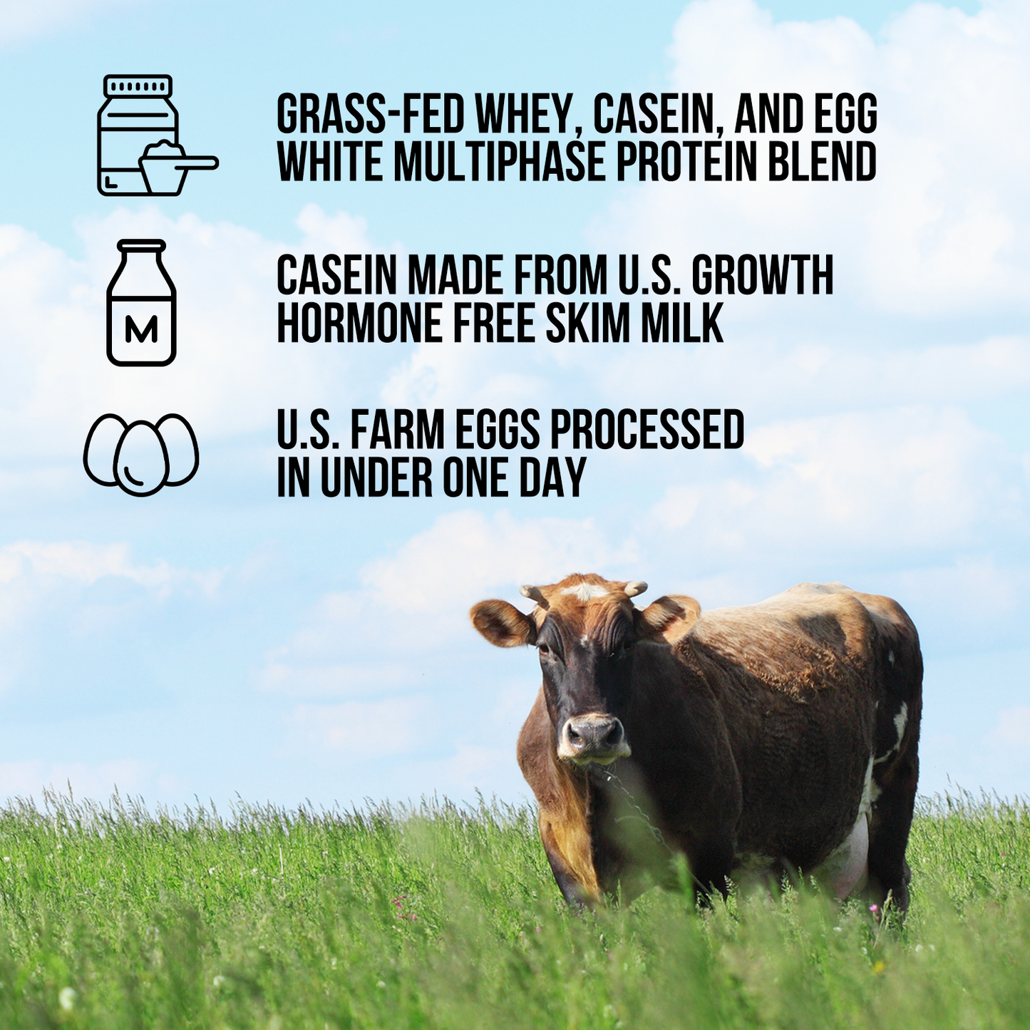 Protein Powder Blend - 1LB Egg Whey & Casein Protein Blend - 1LB with a Straightforward Protein Formula