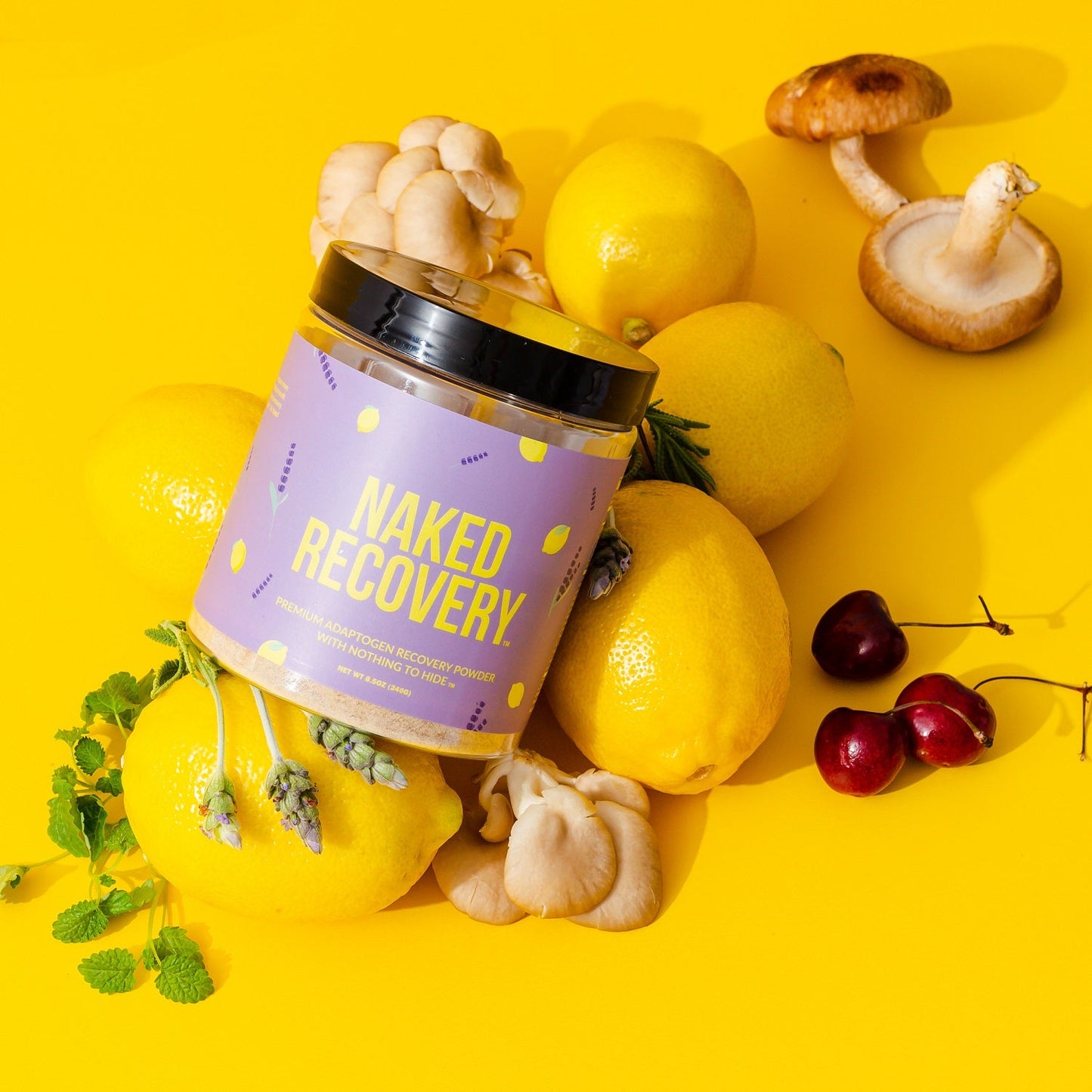 Mushroom Blend Supplement with Tart Cherry & Lemon Balm with a Practical Everyday Format