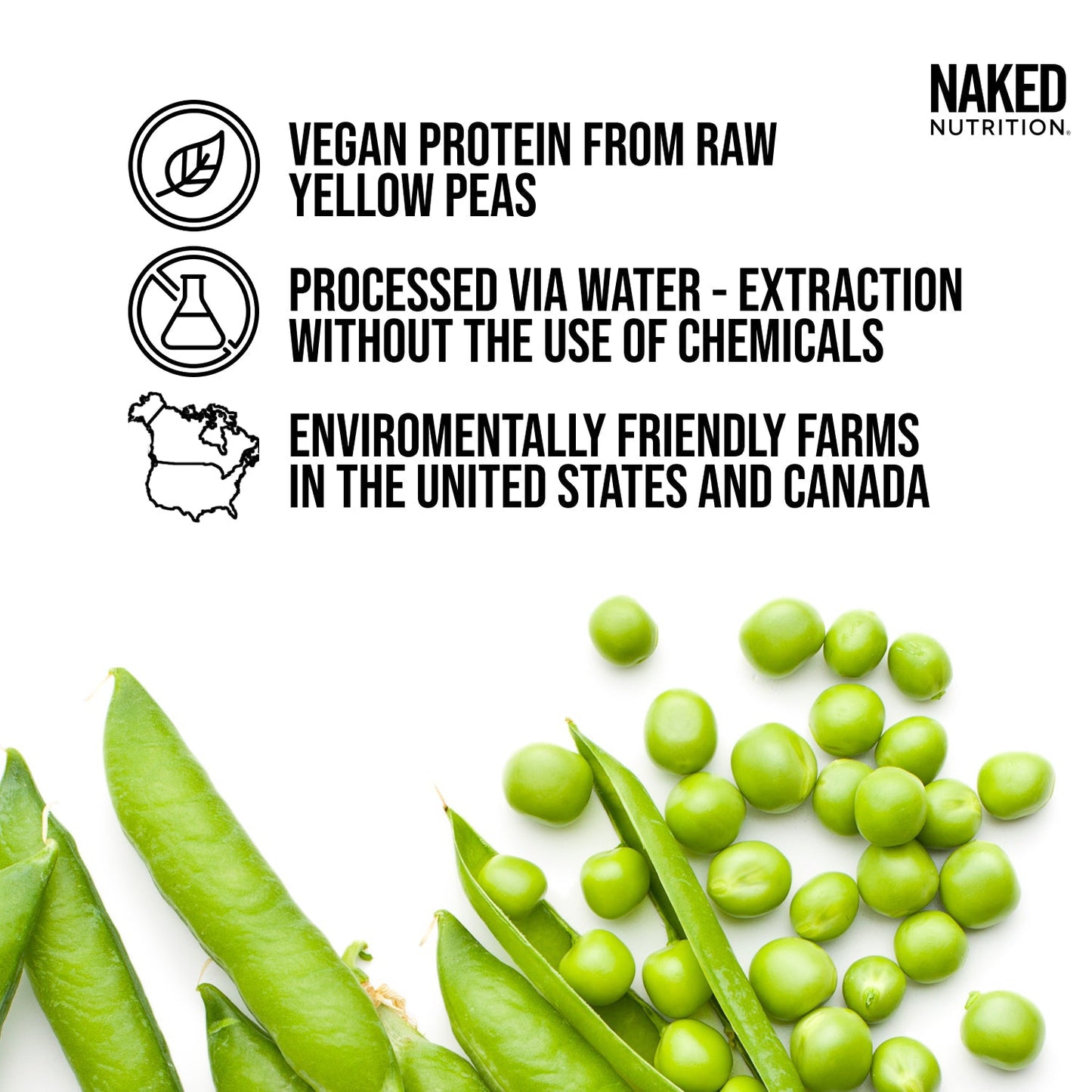 Chocolate Peanut Butter Pea Protein Powder - Chocolate PB - Chocolate Formula with a Straightforward Protein Formula
