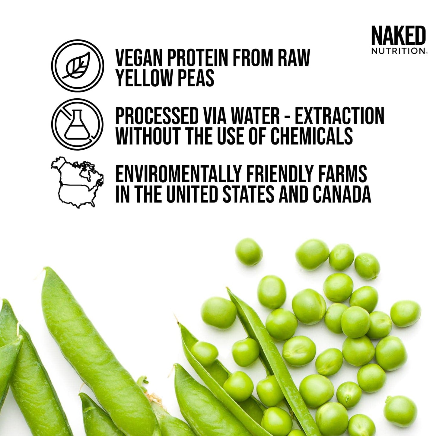 Chocolate Peanut Butter Pea Protein Powder - Chocolate PB - Chocolate Formula with a Straightforward Protein Formula